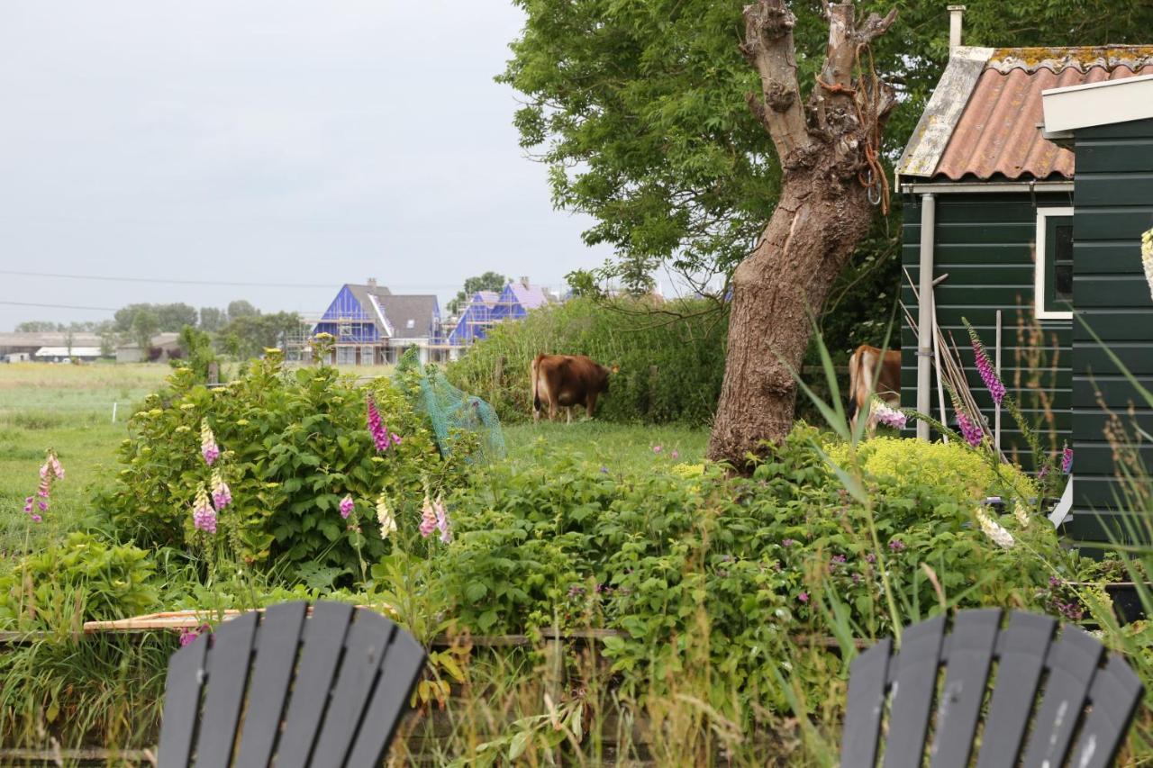 Bed And Stay Amsterdam Ngoại thất bức ảnh